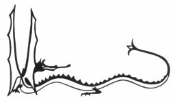 Dragon, by J.R.R. Tolkien (2).jpg Dragon, by J.R.R. Tolkien (2).jpg