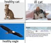 Meme 5.jpg