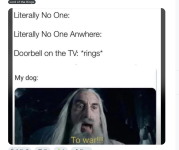 Bngbbgbbggbhbhbbh.png