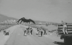giphy (1).gif