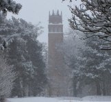 farringdon folly.jpg