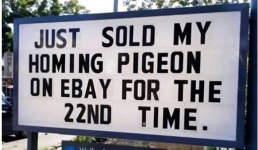1784552260542.png