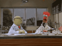 muppet-show-bunsen-honeydew.gif