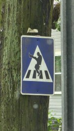 funny walks crossing.jpeg