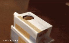 tumblr_mjak7mMjoy1radm29o1_400.gif