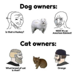 1792390727651.png