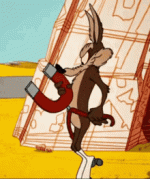 looney-tunes-coyote.gif