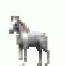 Shadowfax