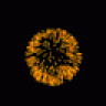 HerenIstarion
