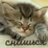 Annushka