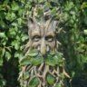 Ent