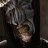 The mouth of Sauron