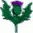 AuriniaRegina