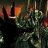 Sauron