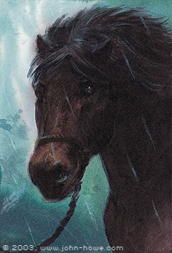 Bill the Pony by John Howe.