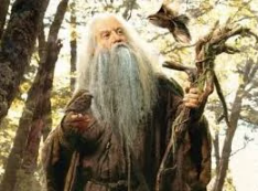 Radagast during the War of the Ring.