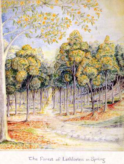 Forest of Lothlorien in Spring.
