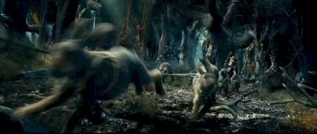 Rhosgobel Rabbits.