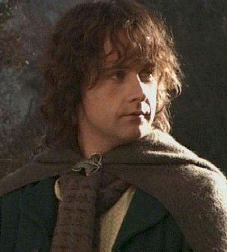 Peregrin Took (Pippin).