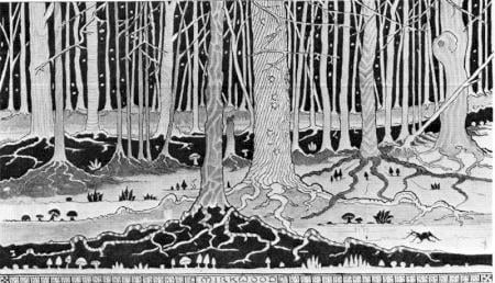Mirkwood, By J.R.R. Tolkien.