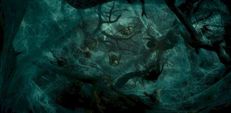 Mirkwood spiders.